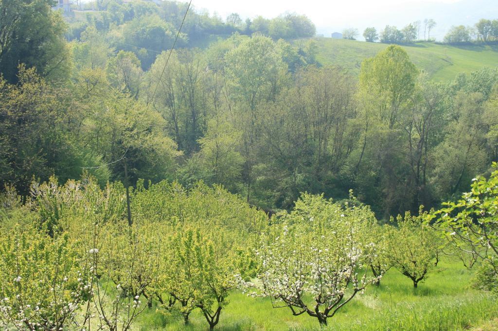 Casa Dell' Abbondanza B&B Agriturismo Vigoleno Екстер'єр фото