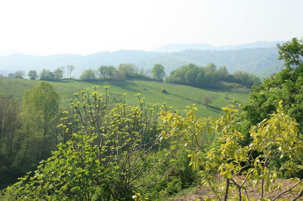 Casa Dell' Abbondanza B&B Agriturismo Vigoleno Екстер'єр фото